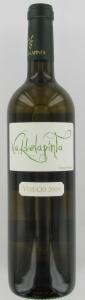 voorbeeld
